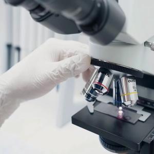 Class 100 Cleanroom Gloves
